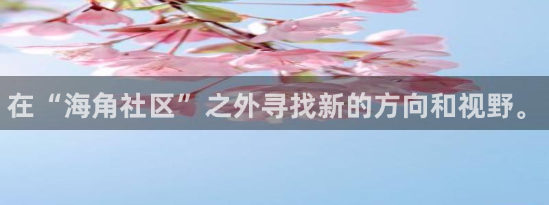 海角社区ip：在“海角社区”之外寻找新的方向和视野。