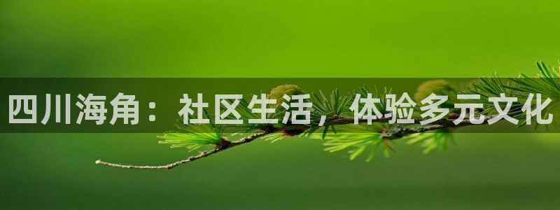 海角社区hjf34：四川海角：社区生活，体验多元文化