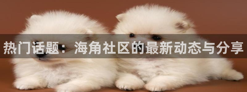 hj9a3海角社区网页：热门话题：海角社区的最新动态与分享