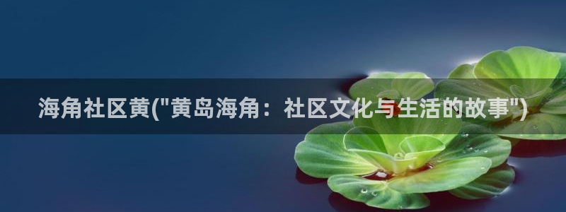 海角社区cht：海角社区黄(\