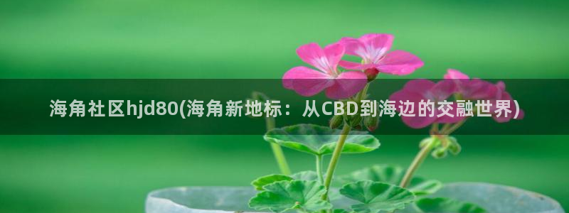 海角切社区：海角社区hjd80(海角新地标：从CBD到海边的交融世界)