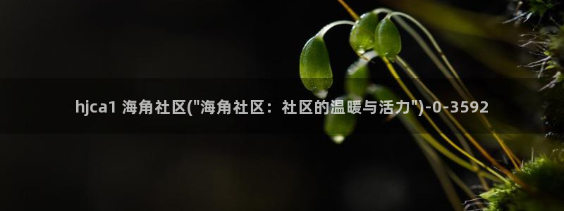 海角社区hj在线登：hjca1 海角社区(\