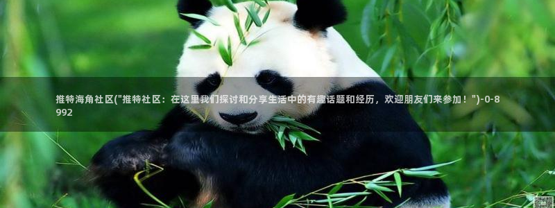 海角社区hjdb：推特海角社区(\