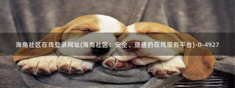 海角社区hjfaf：海角社区在线登录网址(海角社区：安全、便捷的在线服务平台)