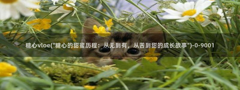  糖心vlog合法吗?：糖心vloe(\