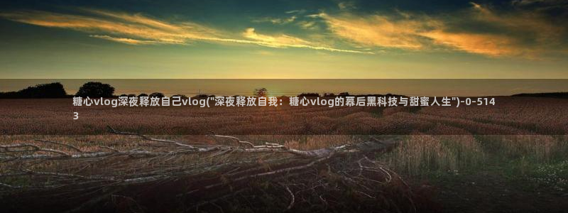  糖心vlog的正确写：糖心vlog深夜释放自己vlog(\