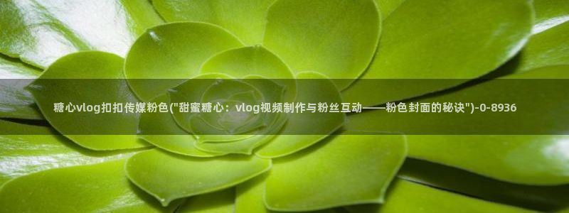 免费糖心vlog：糖心vlog扣扣传媒粉色(\