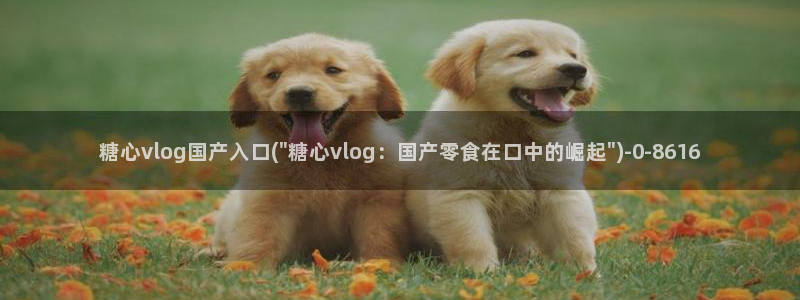  糖心vlog免费高清观看：糖心vlog国产入口(\