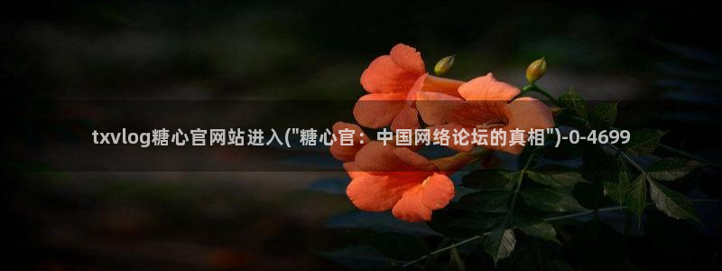  糖心vlog app：txvlog糖心官网站进入(\