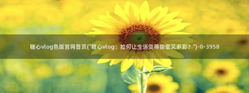  糖心vlog最新网站：糖心vlog色版官网首页(\