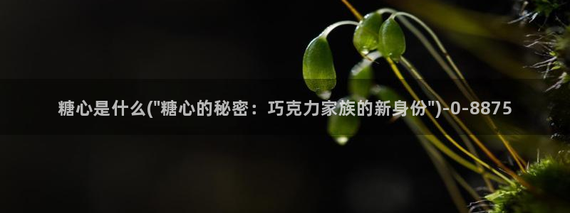  糖心少女vlog孤独的生日：糖心是什么(\