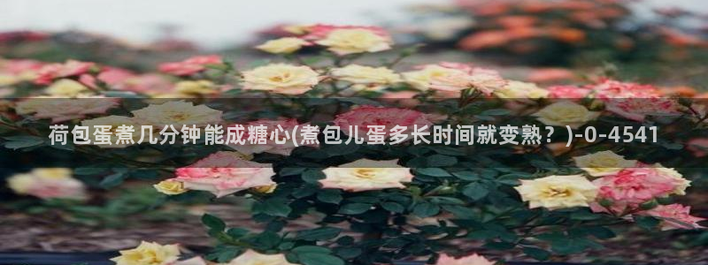  糖心vlog网页免费：荷包蛋煮几分钟能成糖心(煮包儿蛋多长时