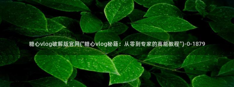  心糖vlog免费版：糖心vlog破解版官网(\