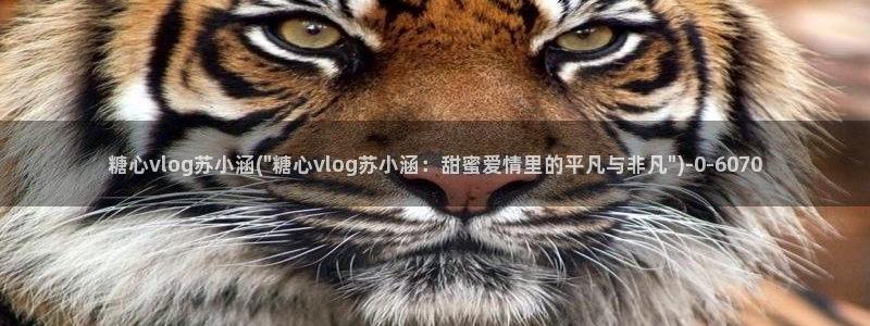  糖心vlog现在该看糖心了：糖心vlog苏小涵(\