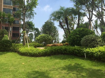 周末生活VLOG文章介绍