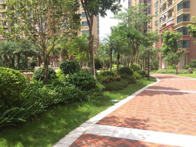 影像专题VLOG文章介绍