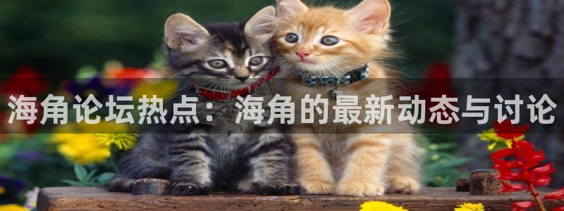 海角 社区在线：海角论坛热点：海角的最新动态与讨论