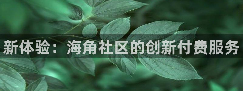 海角社区八级狂风：新体验：海角社区的创新付费服务
