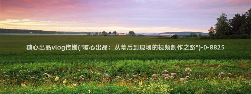 糖心vlog会员