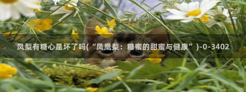 糖心在线播放vlog