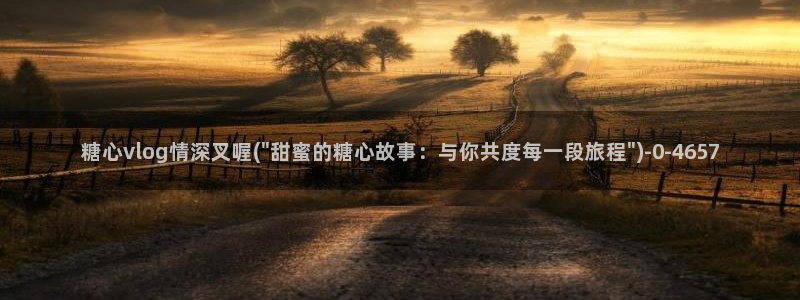 糖心vlog国产专区