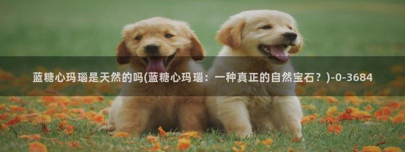 cola酱糖心vlog